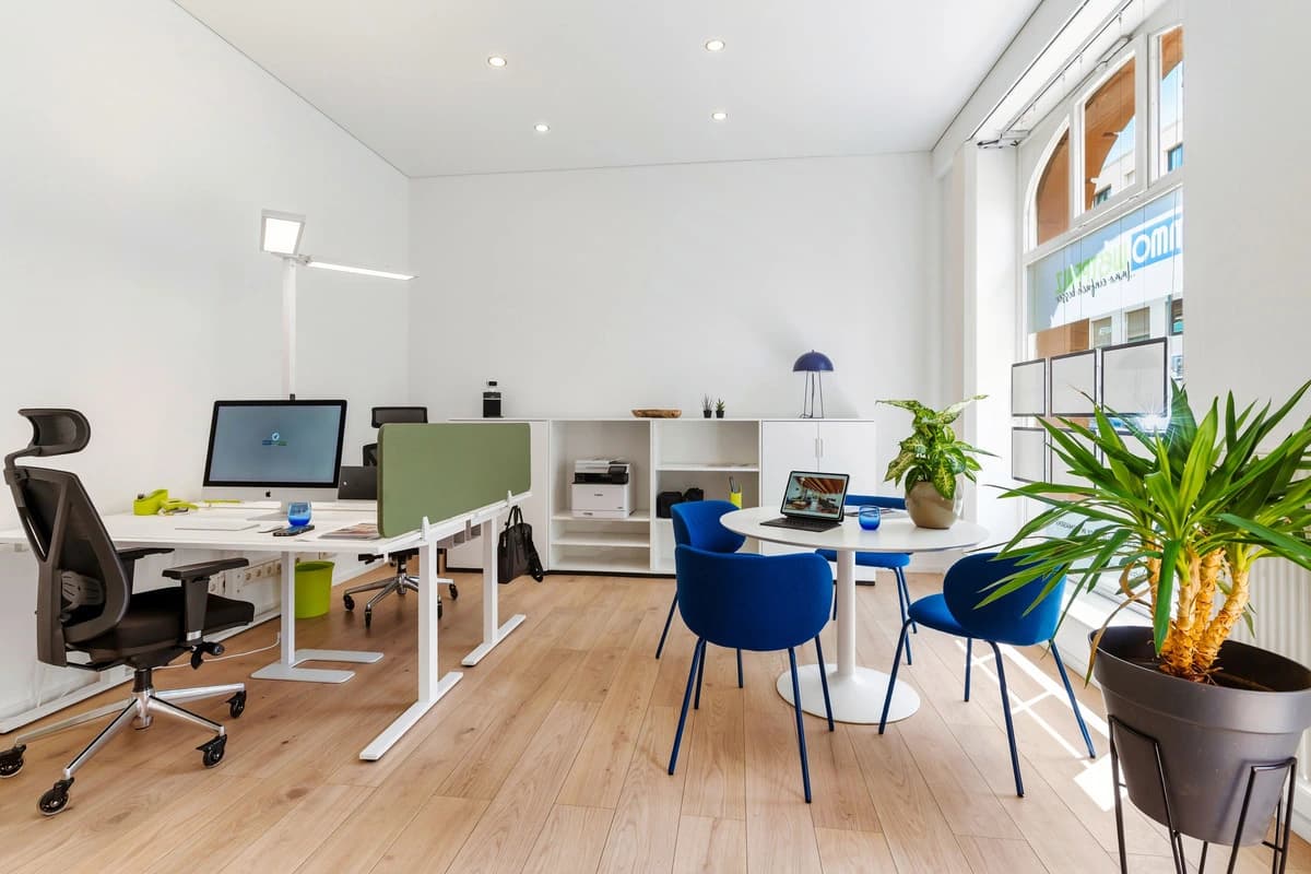 Offener Arbeitsbereich mit Schreibtischen, Pflanzen und großen Fenstern.