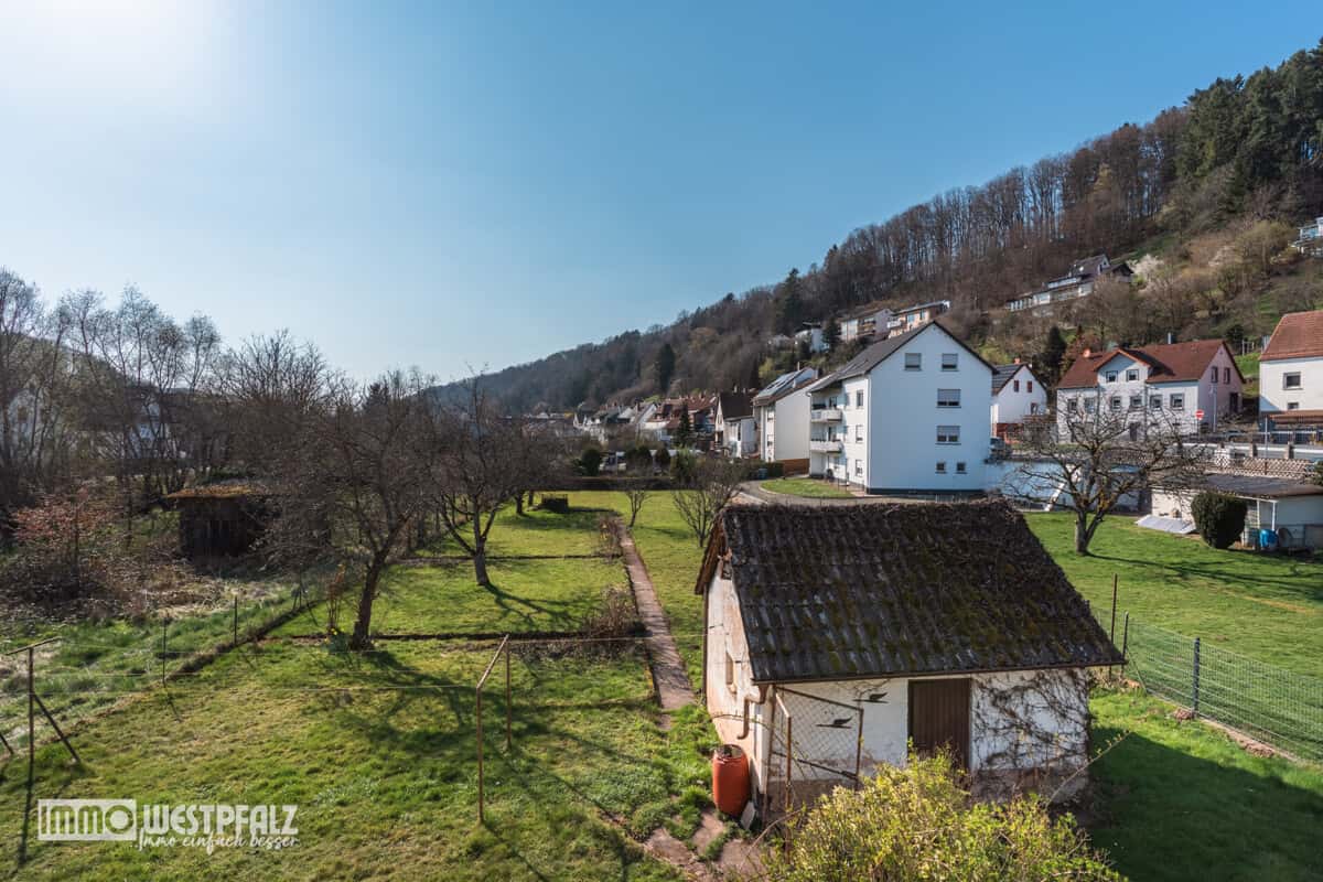Blick in den Garten