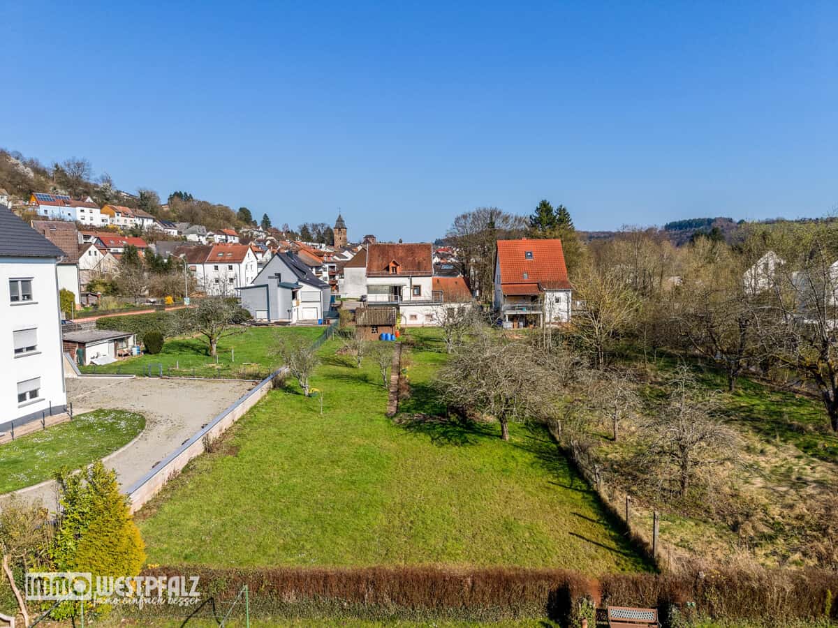 Blick in den Garten